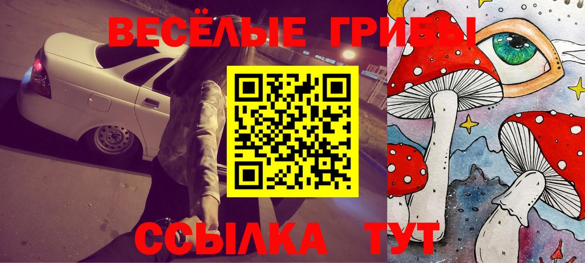 Псилоцибиновые грибы MAGIC MUSHROOMS Минеральные Воды